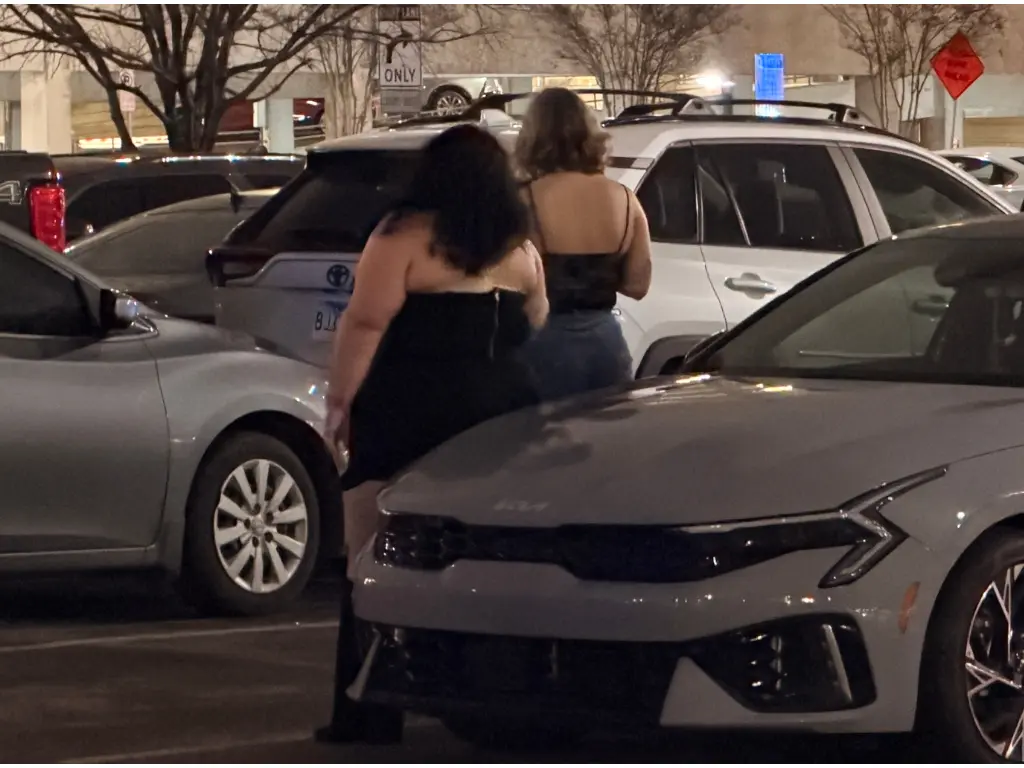 Dallas cohabitation investigation surveillance private investigator proving cohabitation Texas 75243