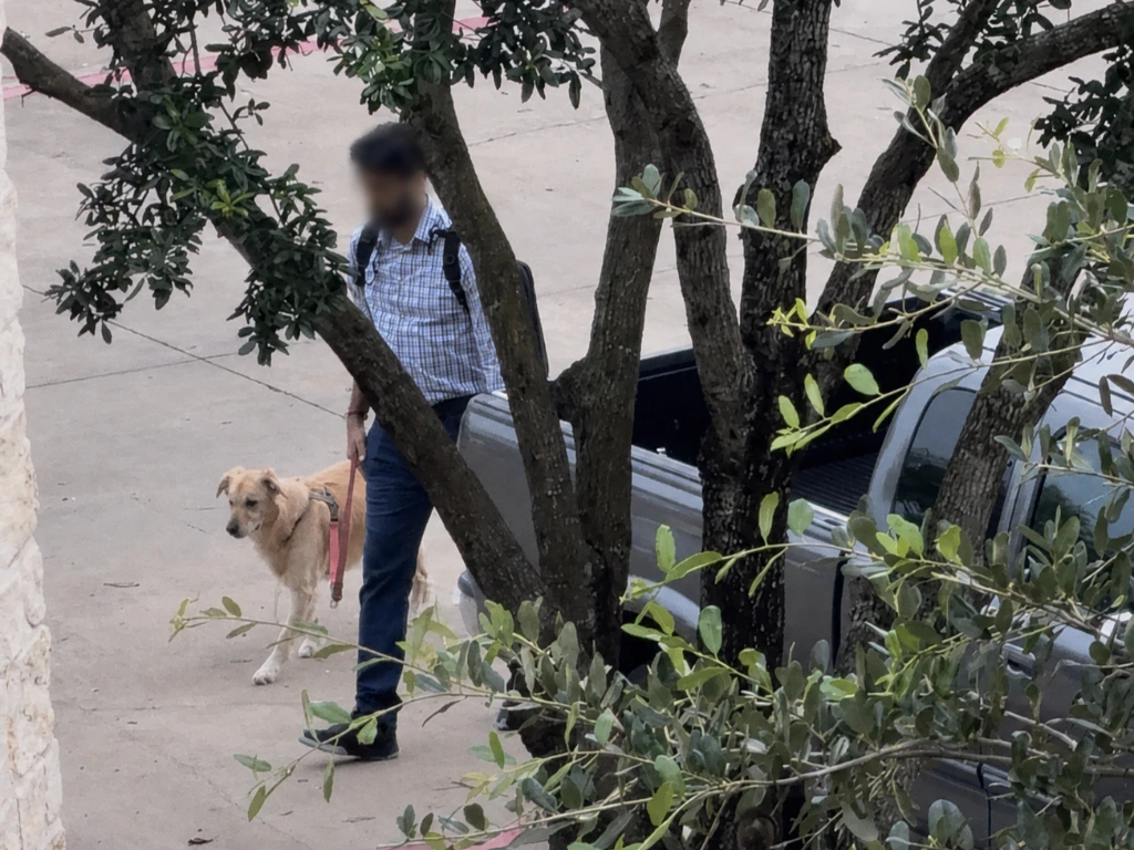 surveillance