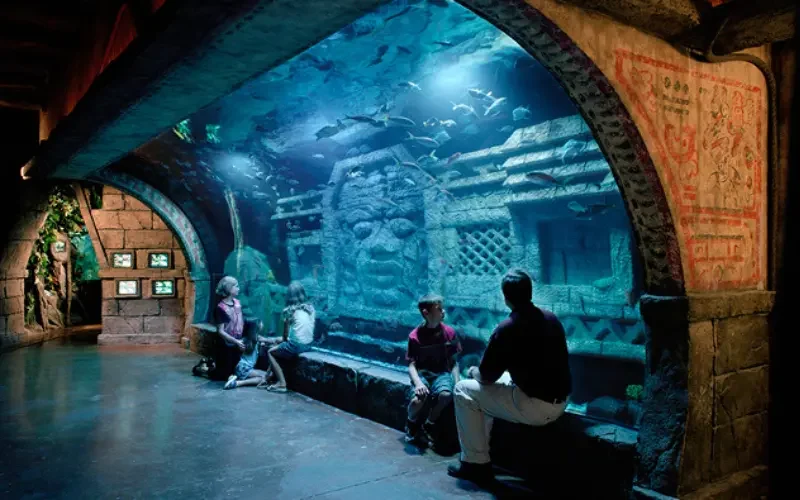 downtown aquarium